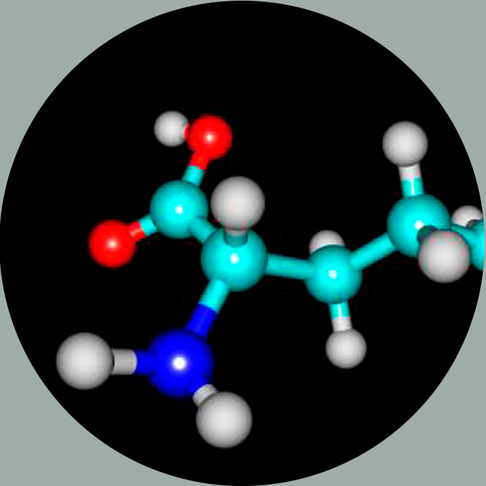 citrulline