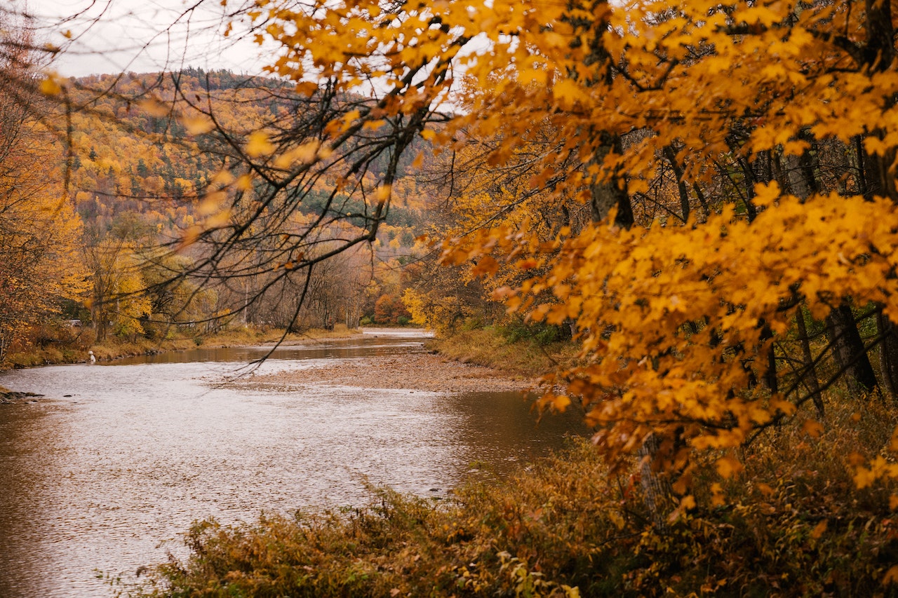 Un otoño sin resfriados