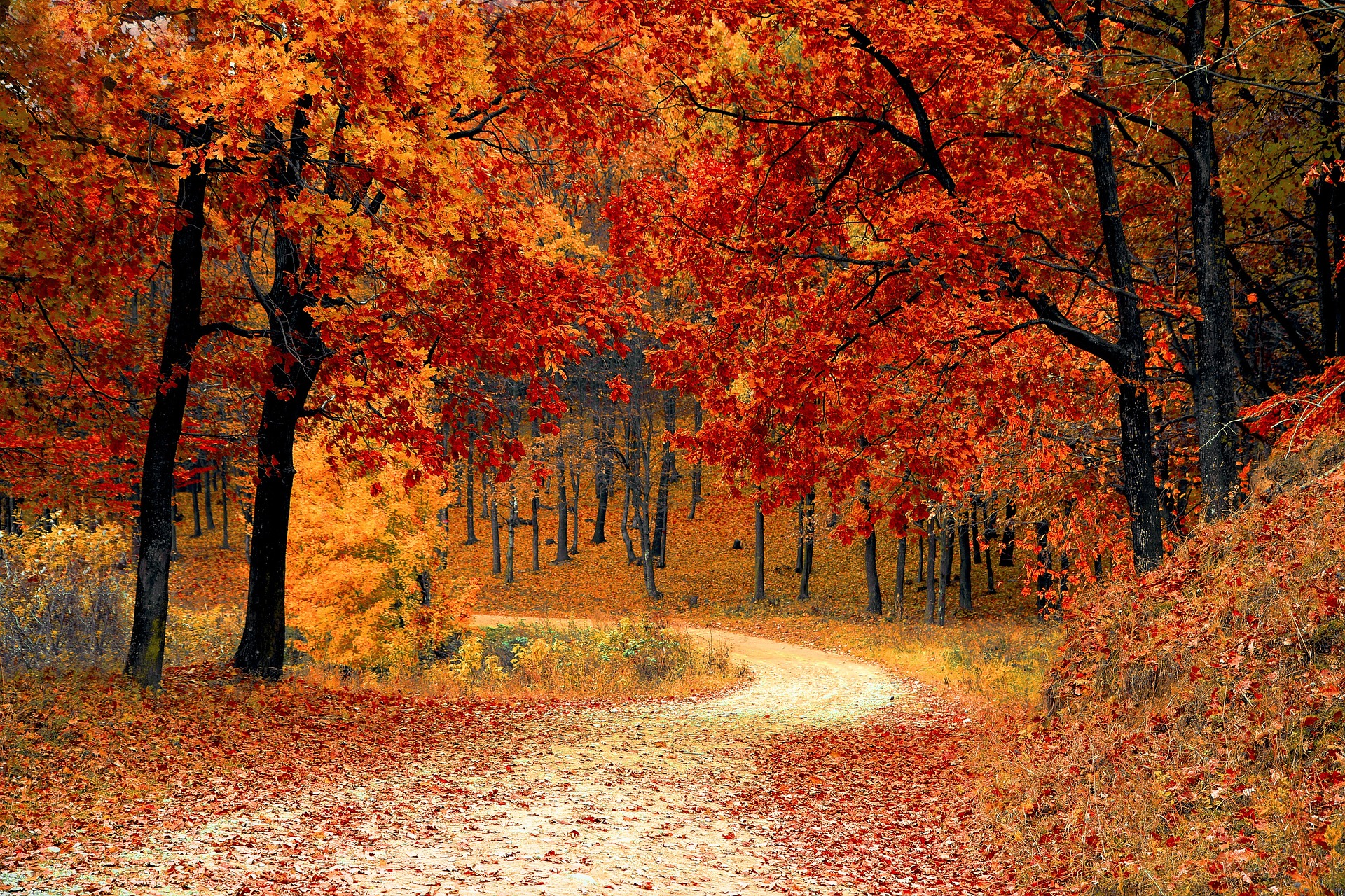 El otoño y su influencia en nuestro estado de ánimo