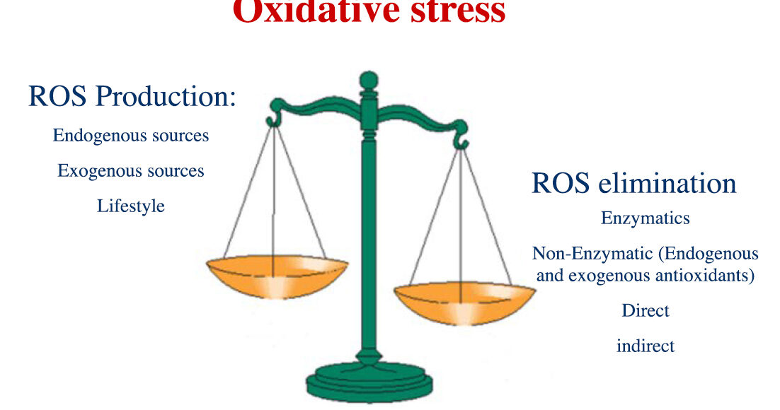 ESTRES-OXIDATIVO-ENG
