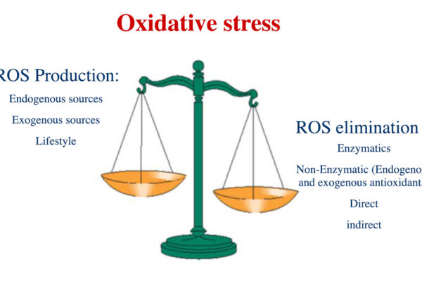 ESTRES-OXIDATIVO-ENG