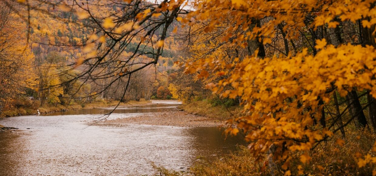 Un otoño sin resfriados