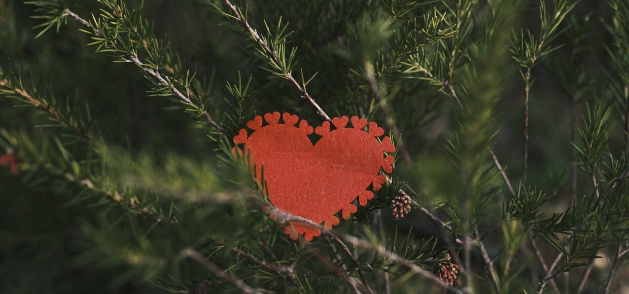 Cómo seguir llevando una vida sana en Navidades: rutina de ejercicio y consejos dietéticos