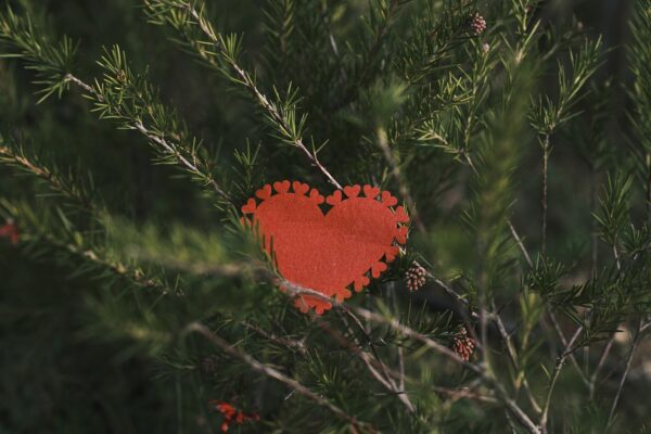 Cómo seguir llevando una vida sana en Navidades: rutina de ejercicio y consejos dietéticos