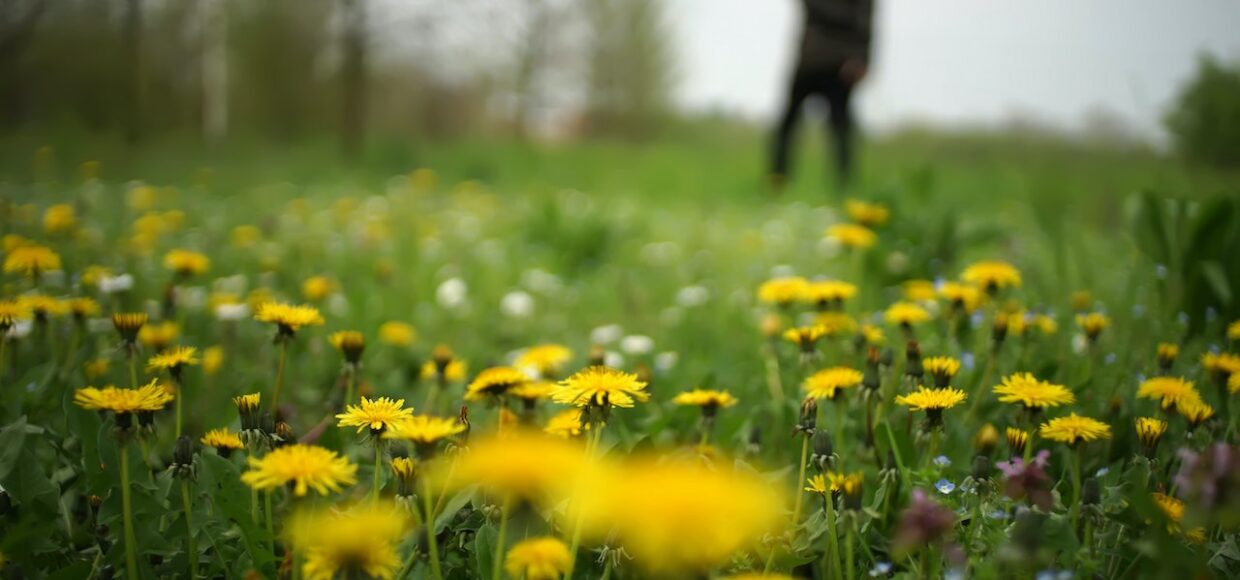 Lanier-Pharma Images